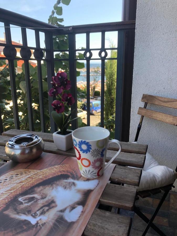 Breeze Guest House Τσερνομόρετς Εξωτερικό φωτογραφία